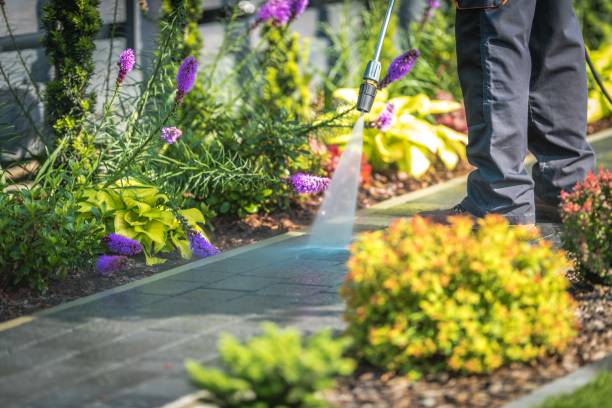 Ave Maria, FL Pressure Washing Company