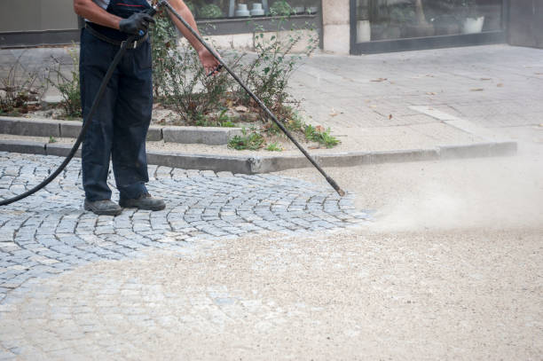 Best Gutter Cleaning  in Ave Maria, FL